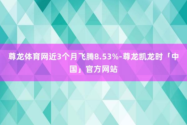 尊龙体育网近3个月飞腾8.53%-尊龙凯龙时「中国」官方网站