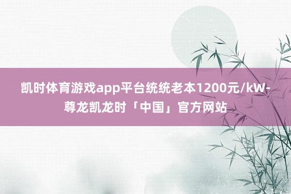 凯时体育游戏app平台统统老本1200元/kW-尊龙凯龙时「中国」官方网站