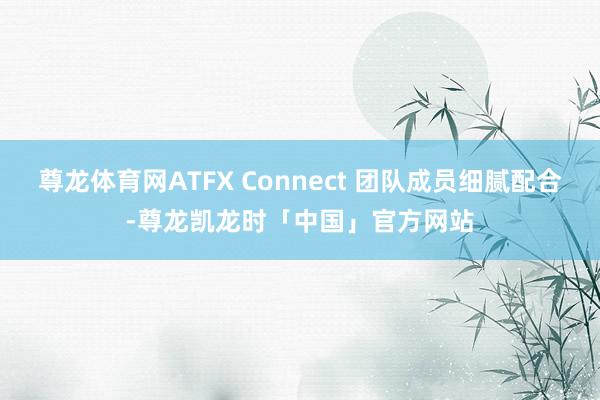尊龙体育网ATFX Connect 团队成员细腻配合-尊龙凯龙时「中国」官方网站