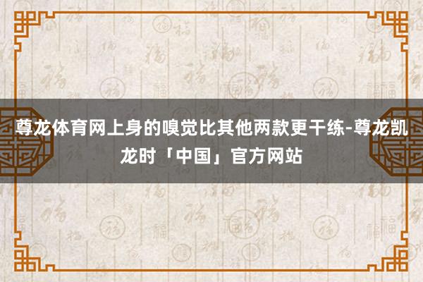 尊龙体育网上身的嗅觉比其他两款更干练-尊龙凯龙时「中国」官方网站