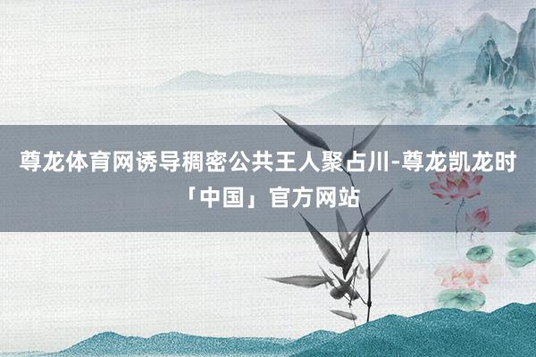 尊龙体育网诱导稠密公共王人聚占川-尊龙凯龙时「中国」官方网站