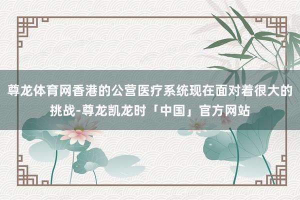 尊龙体育网香港的公营医疗系统现在面对着很大的挑战-尊龙凯龙时「中国」官方网站