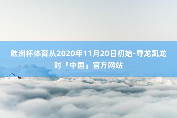 欧洲杯体育从2020年11月20日初始-尊龙凯龙时「中国」官方网站