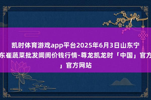 凯时体育游戏app平台2025年6月3日山东宁津县东崔蔬菜批发阛阓价钱行情-尊龙凯龙时「中国」官方网站