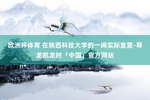 欧洲杯体育 在陕西科技大学的一间实际室里-尊龙凯龙时「中国」官方网站