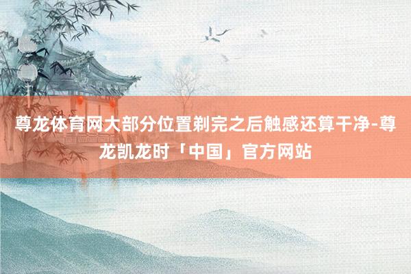 尊龙体育网大部分位置剃完之后触感还算干净-尊龙凯龙时「中国」官方网站