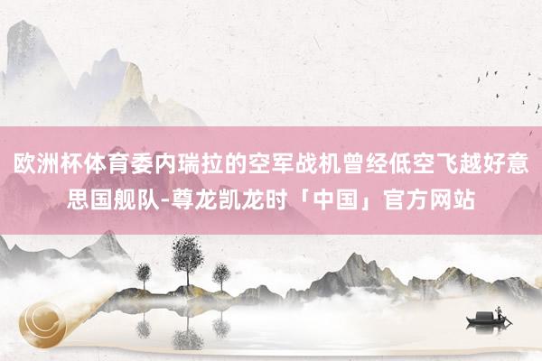 欧洲杯体育委内瑞拉的空军战机曾经低空飞越好意思国舰队-尊龙凯龙时「中国」官方网站