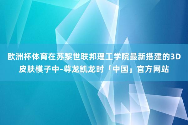 欧洲杯体育在苏黎世联邦理工学院最新搭建的3D皮肤模子中-尊龙凯龙时「中国」官方网站