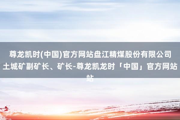尊龙凯时(中国)官方网站盘江精煤股份有限公司土城矿副矿长、矿长-尊龙凯龙时「中国」官方网站